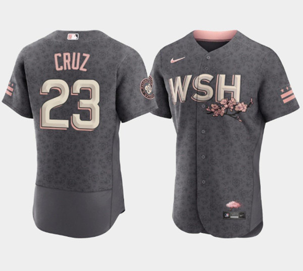 Men's Washington Nationals #23 Nelson Cruz 2022 Gray City Connect Cherry Blossom Flex Base Stitched Jersey