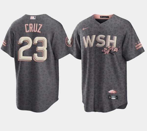 Men's Washington Nationals #23 Nelson Cruz 2022 Gray City Connect Cherry Blossom Cool Base Stitched Jersey