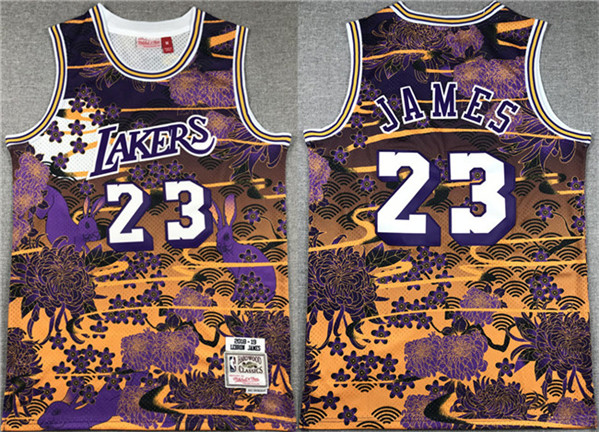Men's Los Angeles Lakers #23 LeBron James Purple/Yellow Throwback basketball Jersey