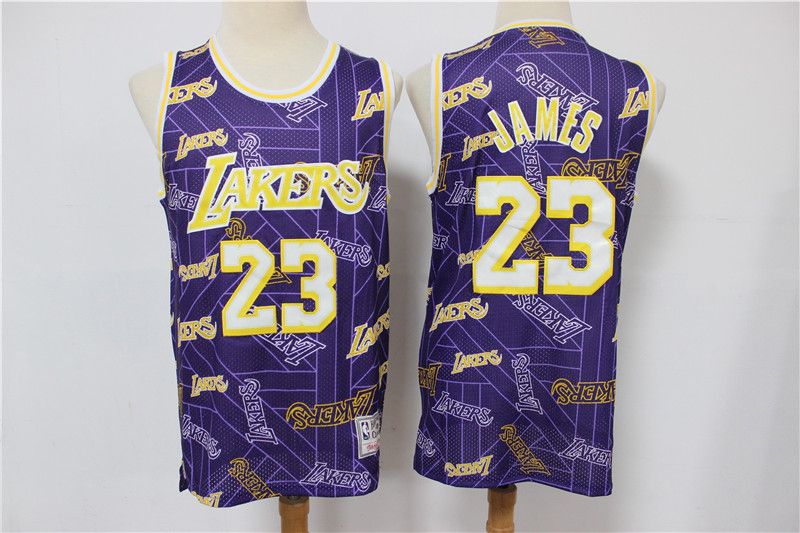 Men's Los Angeles Lakers #23 LeBron James 2020 Purple Tear Up Pack Hardwood Classics Swingman Stitched Jersey
