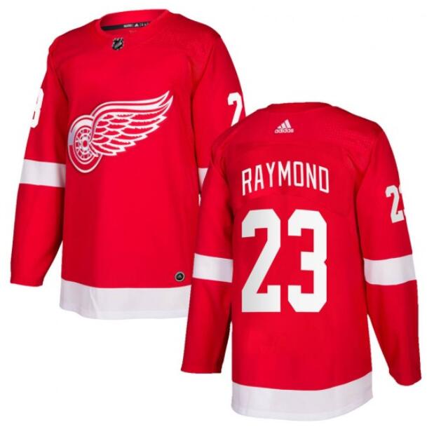 Youth's Detroit Red Wings #23 Lucas Raymond Red Stitched Jersey