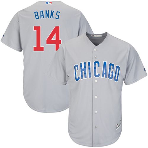 Cubs #14 Ernie Banks Grey Road Stitched Youth MLB Jersey