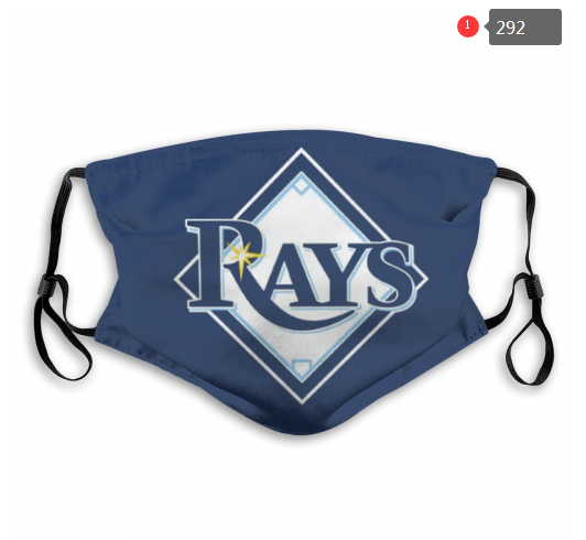 Rays Face Mask 00292 Filter Pm2.5 (Pls Check Description For Details) Rays Mask