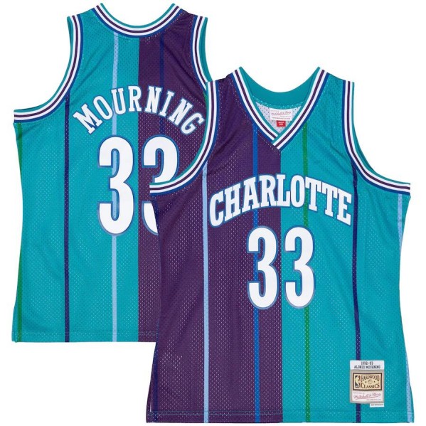 Men's Charlotte Hornets #33 Alonzo Mourning Split Teal/Purple 1992-93 Mitchell & Ness Swingman Stitched Jersey