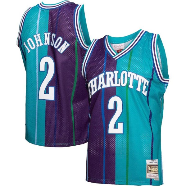 Men's Charlotte Hornets #2 Larry Johnson Split Teal/Purple 1992-93 Mitchell & Ness Swingman Stitched Jersey
