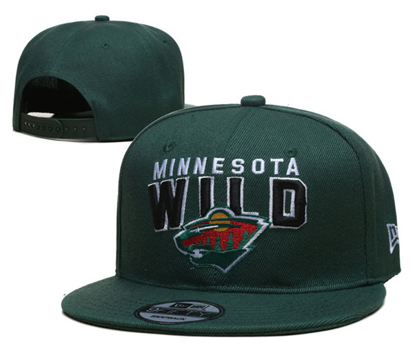 Minnesota Wild Stitched Snapback Hats 003